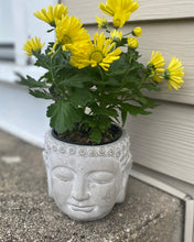 Load image into Gallery viewer, Buddah Planter
